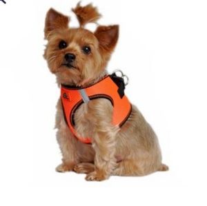 Dog BIG Size Orange Harness